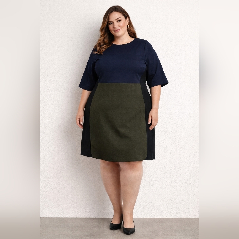 NWT Anthro Hutch Colorblock Dress